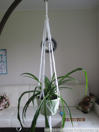 ����� ������������ �������� ������ ������ �� �����