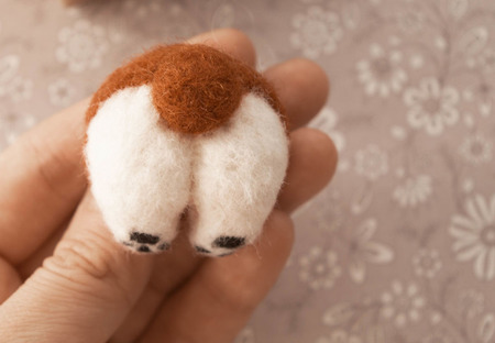 ������ "���� ����� �����" ������ ������ �� �����