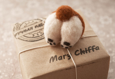 ������ "���� ����� �����" ������ ������ �� �����