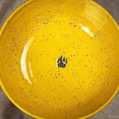 Тарелка в ярко-желтом цвете