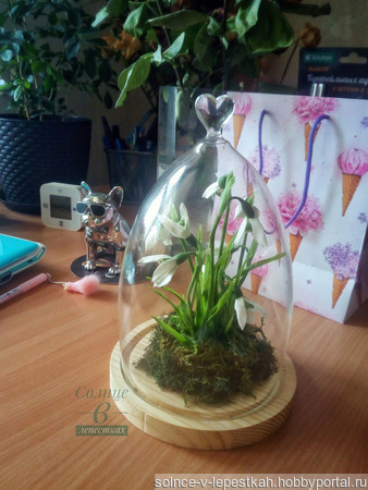 ���� (������) � ������������� ������ ������ �� �����