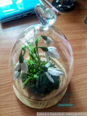 ���� (������) � ������������� ������ ������ �� �����