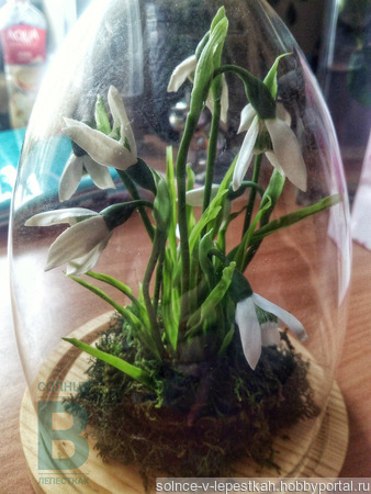 ���� (������) � ������������� ������ ������ �� �����