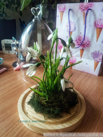 ���� (������) � ������������� ������ ������ �� �����