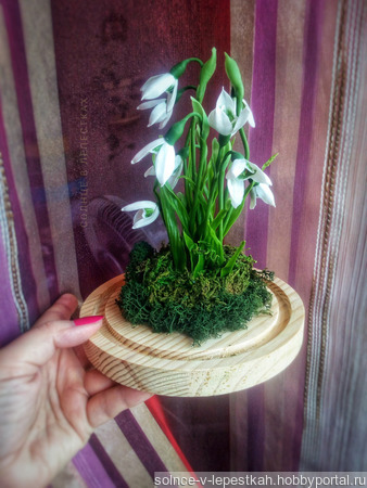 ���� (������) � ������������� ������ ������ �� �����