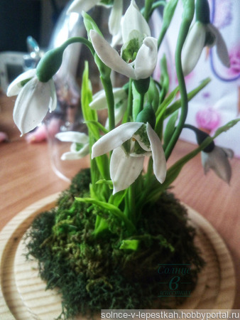 ���� (������) � ������������� ������ ������ �� �����