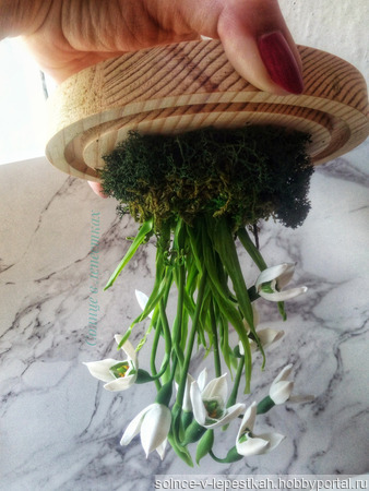 ���� (������) � ������������� ������ ������ �� �����