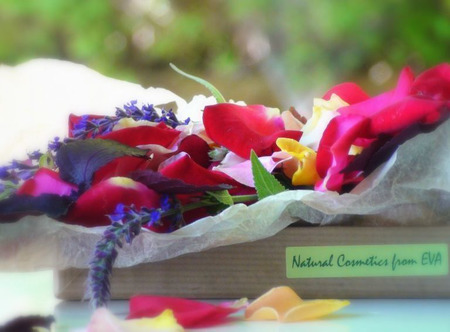 �������� ���� �����, �������, ������ ������ ������ �� �����