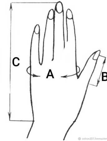 ������� ������������ ������� "����������" ������ ������ �� �����