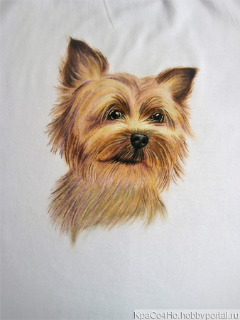 �������� � ������ �������� ����� Lucky� ������ ������ �� �����