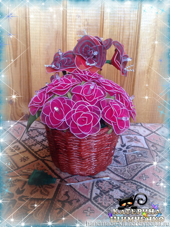 ������ �� ������� "����" ������ ������ �� �����