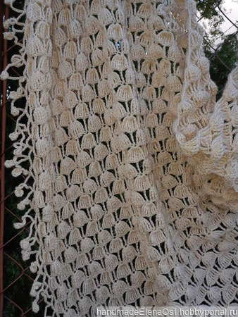 ���� ������ ������ �� �����