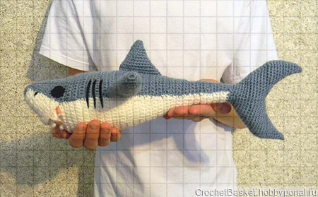 ������� ������� ���� ����� ������ ������ �� �����