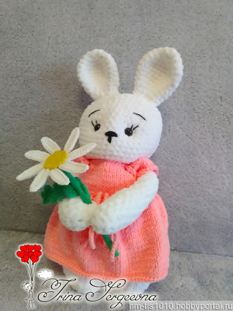 �������-������ ������ ������ �� �����