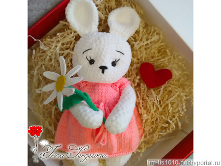 �������-������ ������ ������ �� �����