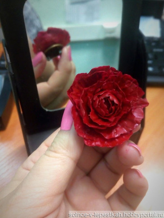 ����� "����" �� ��������� ������� ������ ������ �� �����