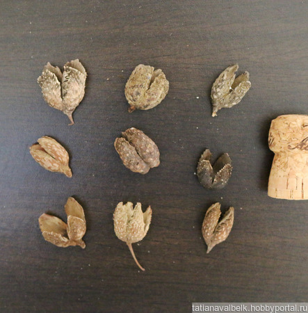 ������������ ����� ���� �������� ������ ������ �� �����