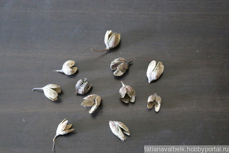 ������������ ����� ���� �������� ������ ������ �� �����