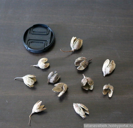 ������������ ����� ���� �������� ������ ������ �� �����