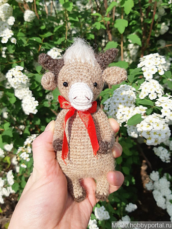 ����� ������ ������ �� �����