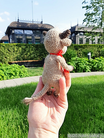 ����� ������ ������ �� �����