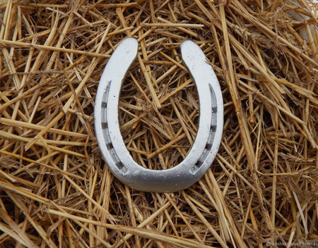 ������� ������� ������ ������ �� �����