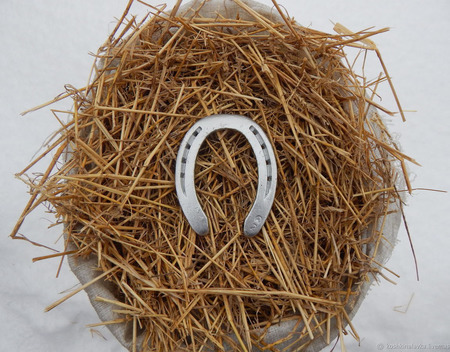 ������� ������� ������ ������ �� �����