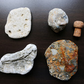 Морские камни набор 2 камешки дары моря
