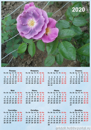 ��������� ��������� "����" ������ ������ �� �����