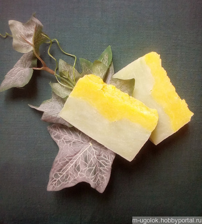 ���� ����������� "�������� ������" ������ ������ �� �����