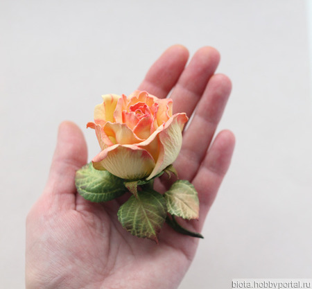 ����� �������� � ������� ���� �� ��������� "���� ������" ������ ������ �� �����