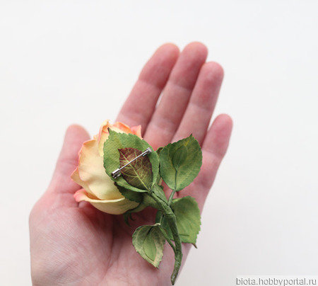 ����� �������� � ������� ���� �� ��������� "���� ������" ������ ������ �� �����