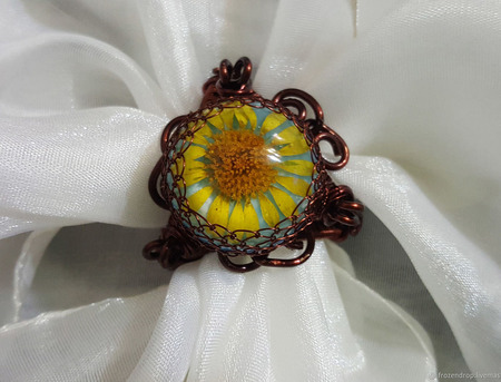 �����-�����: ������ �� ������� ������ ������ �� �����