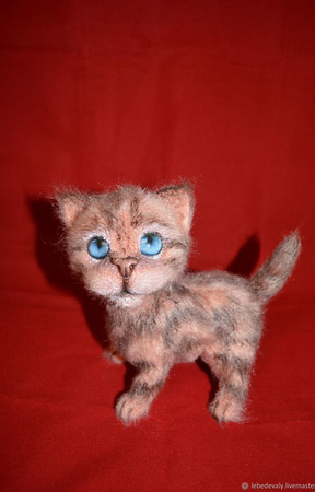 �� �� ������� ������ ����� ������ ������ �� �����