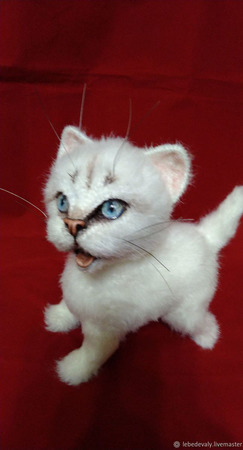 �� �� ������� ������ ����� ������ ������ �� �����