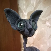 Сфинкс - лысый кот серого окраса с голубыми глазами