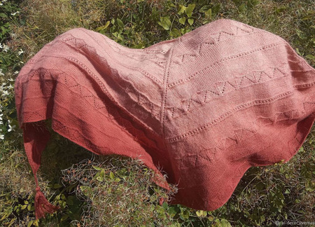 ������ "�������" ������ ������ �� �����