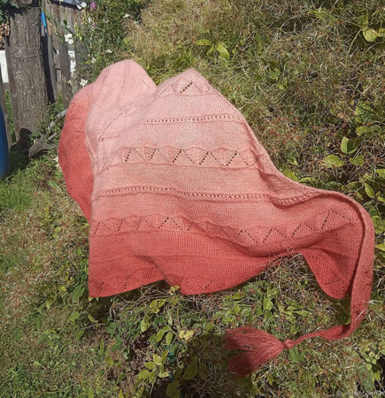 ������ "�������" ������ ������ �� �����