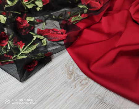 ظ�� ������ ��������-������� ������ ������ �� �����