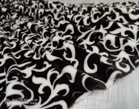 ������� ������� ���������-�������� ������ ������ �� �����