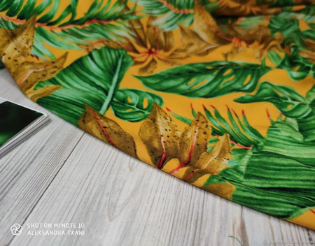 �������-������ "������ ������ ������/����" ������ ������ �� �����