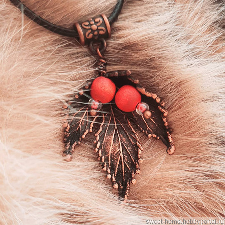 ����� �� ���� ������ ������ �� �����