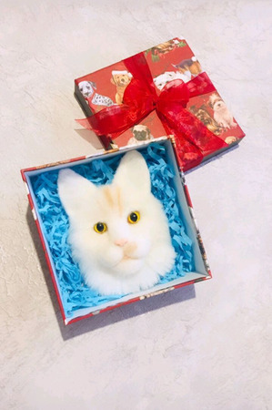 ����� ����-��� (����������) ������ ������ �� �����