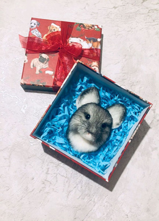 ����� �������� (����������) ������ ������ �� �����