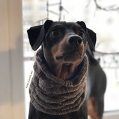 Снуд-шарф для собаки