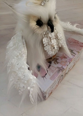 ����� ���� ������ ������ �� �����