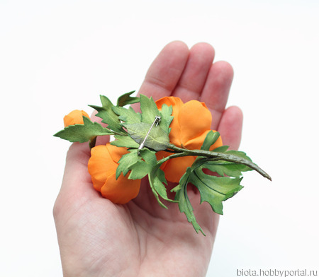 ����� ����� � ���������� ������� "����������" ������ ������ �� �����