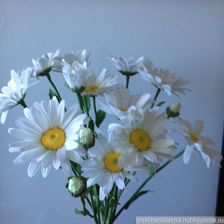 ������� ������� ������ ������ �� �����