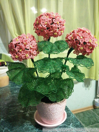 ������ ������ ������ �� �����