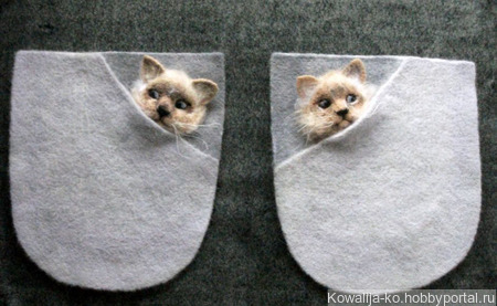 ������������ ��������� ������� "������" ������ ������ �� �����